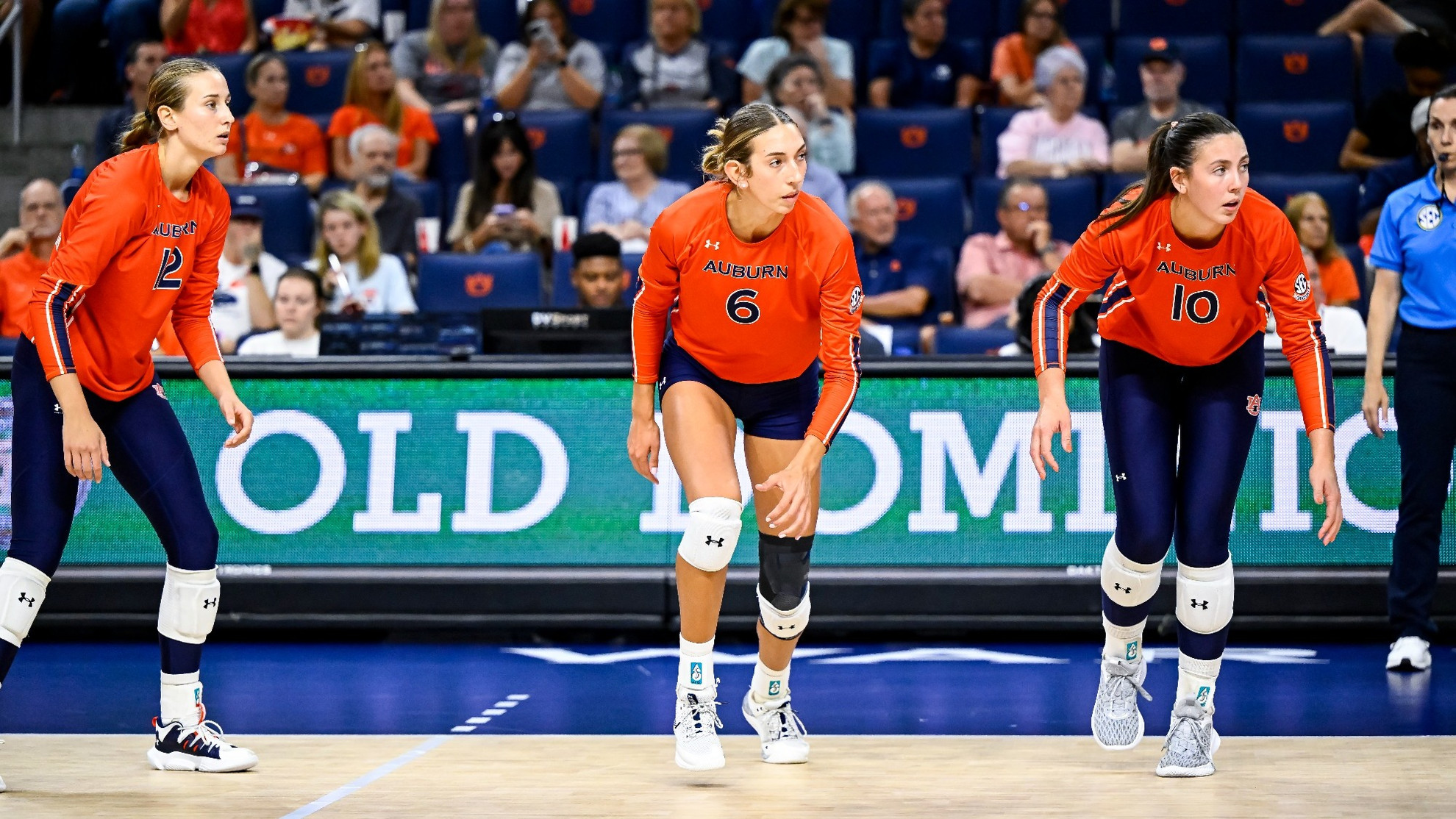 This Week in Auburn Volleyball - Auburn Tigers - Official Athletics Website