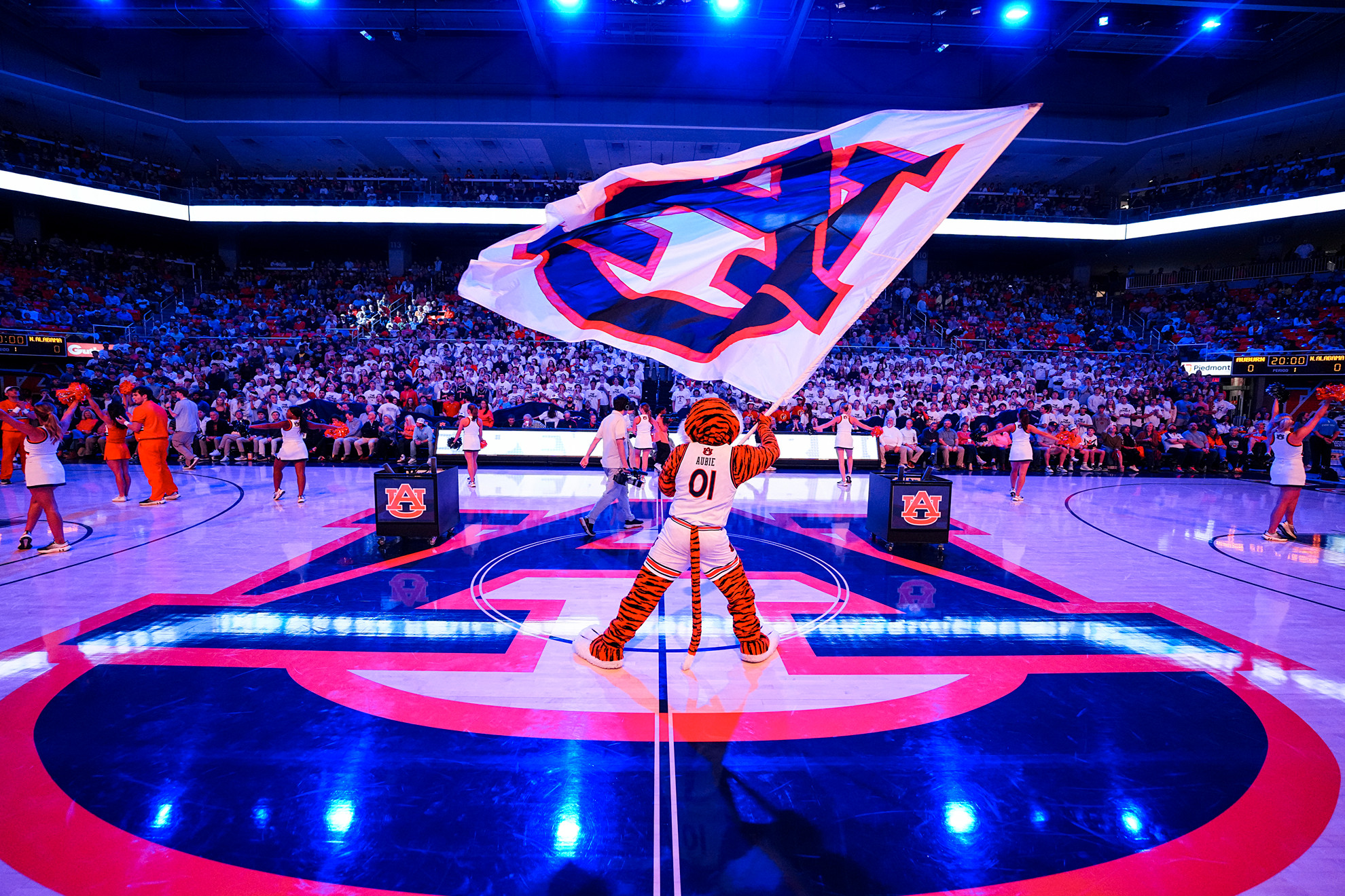 Photo Gallery: #4 Auburn vs. North Alabama