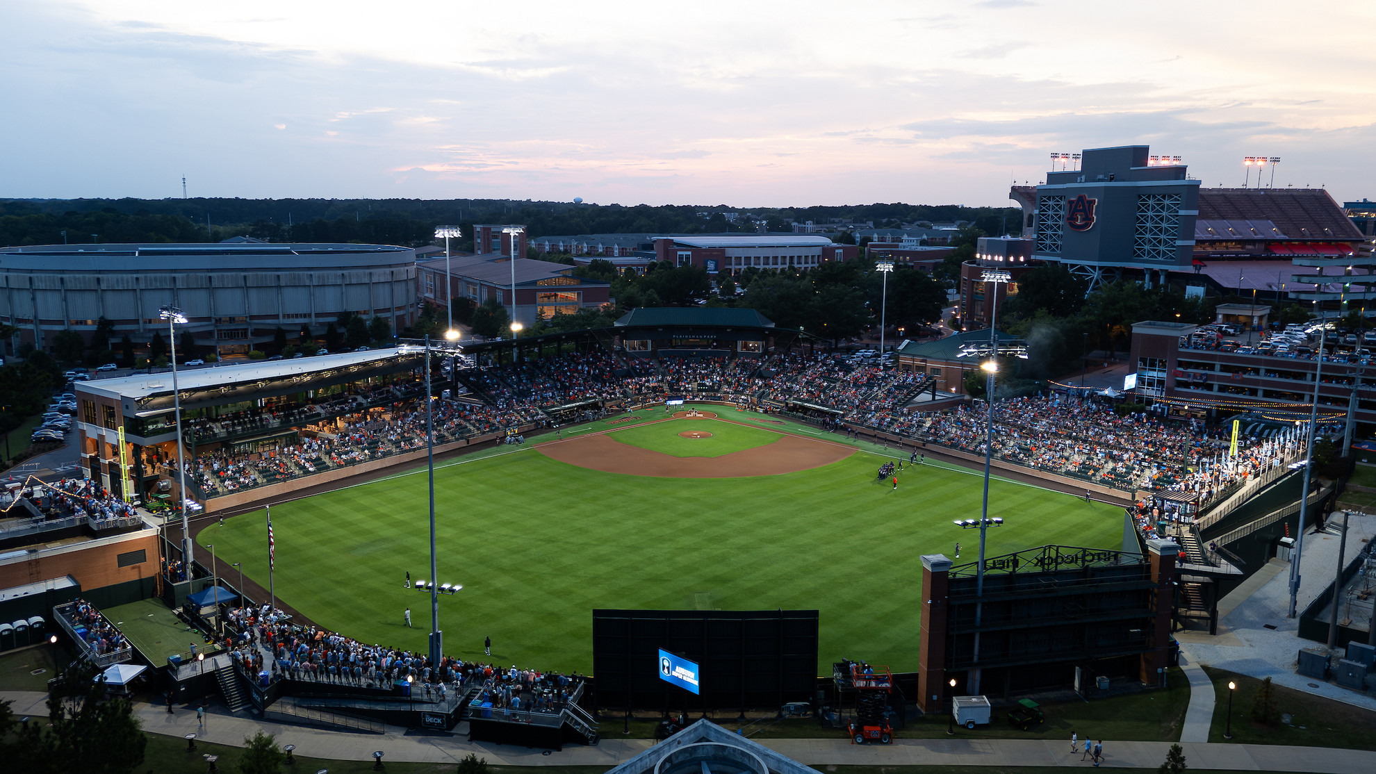 Жалаңаш Клаудия аудитор