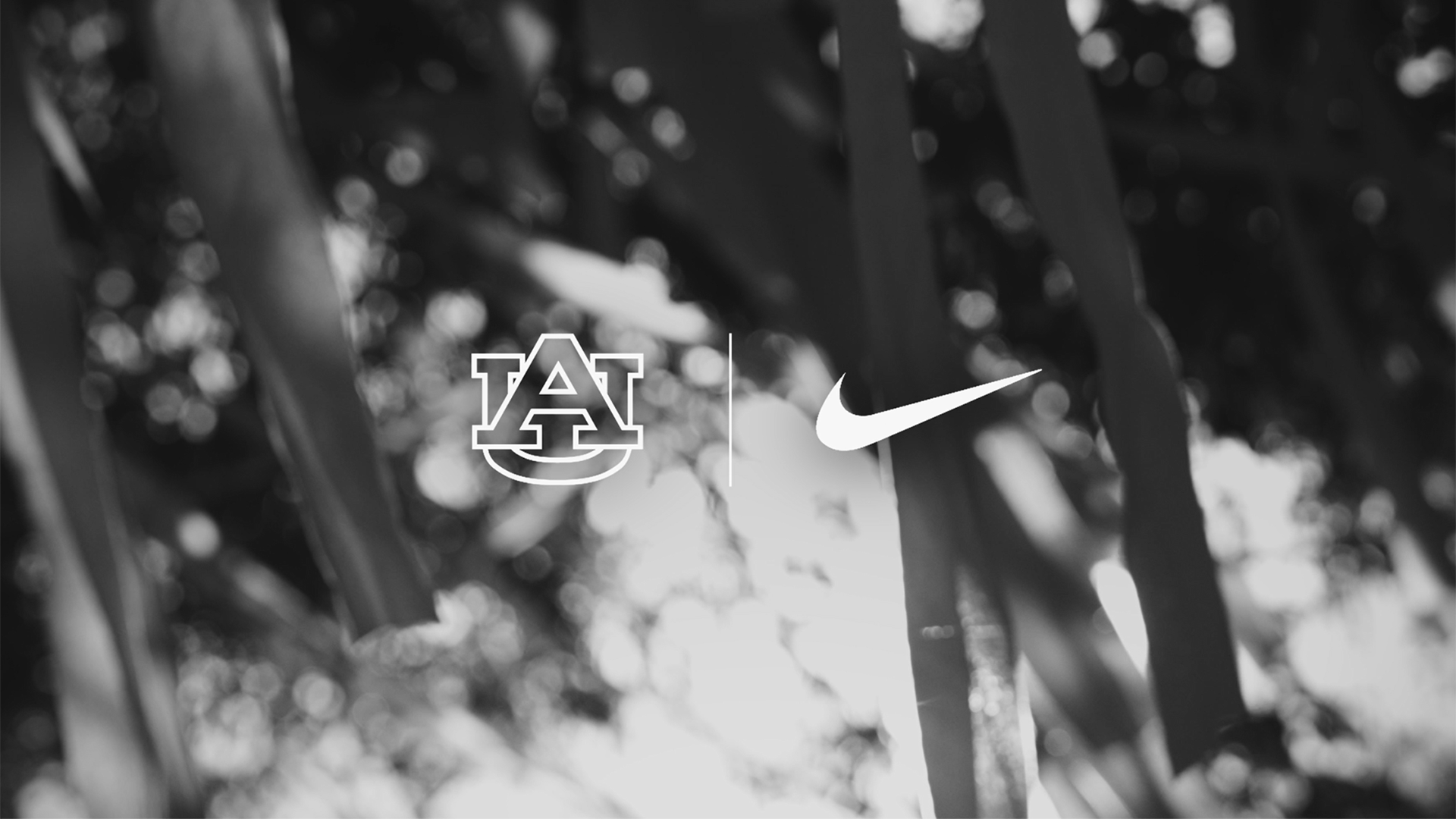 nike auburn