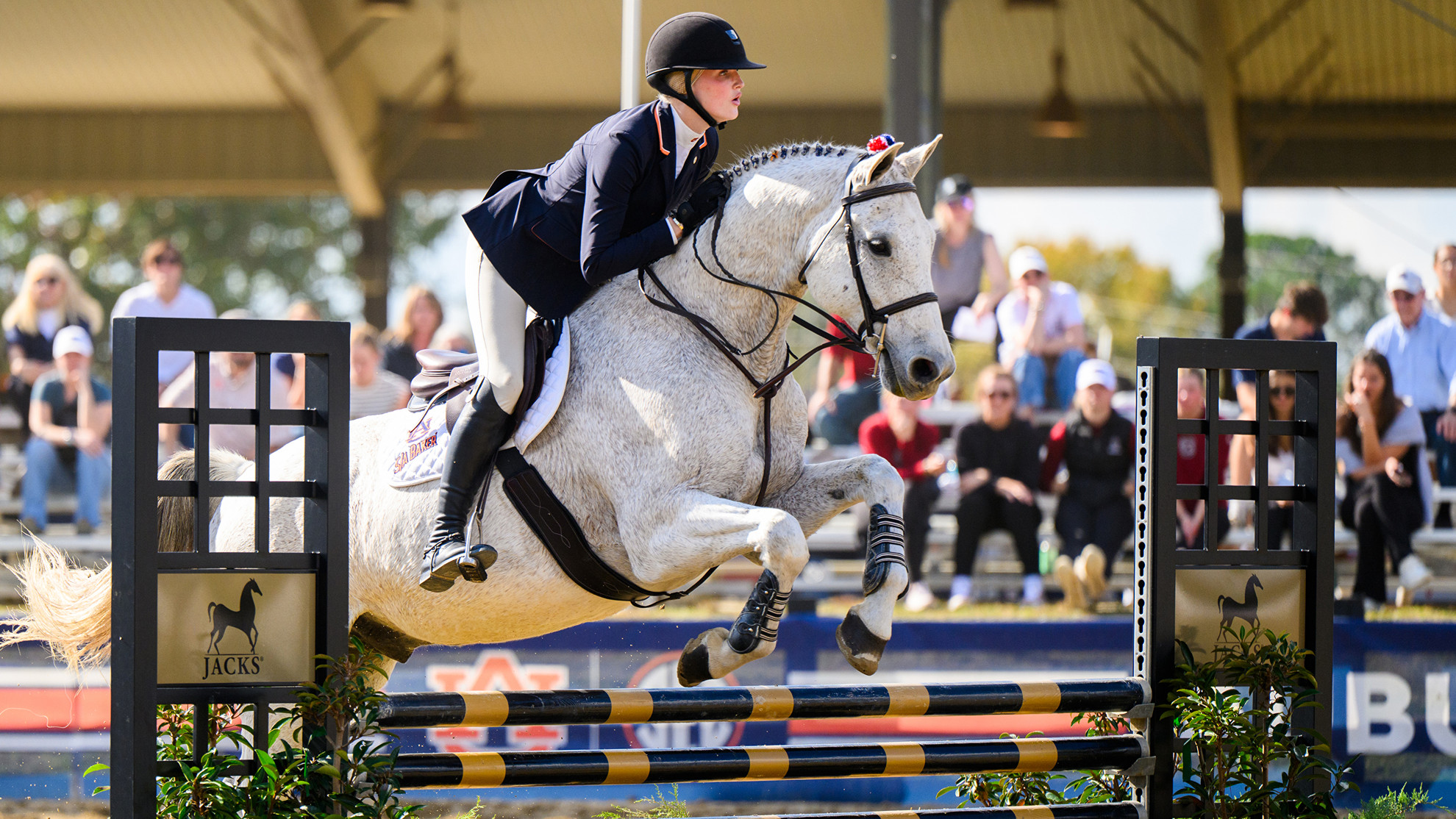 Auburn Equestrian Faces South Carolina in Key SEC Clash