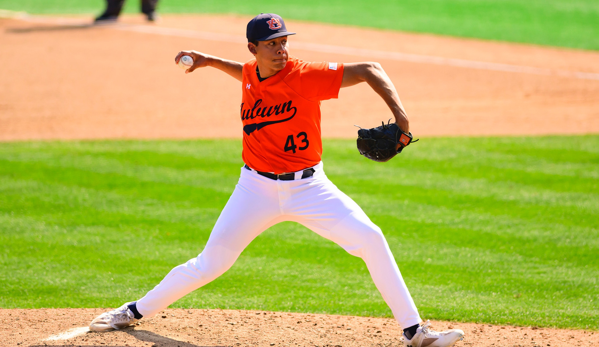 Alex petrovic baseball 2024 auburn tigers official athletics website