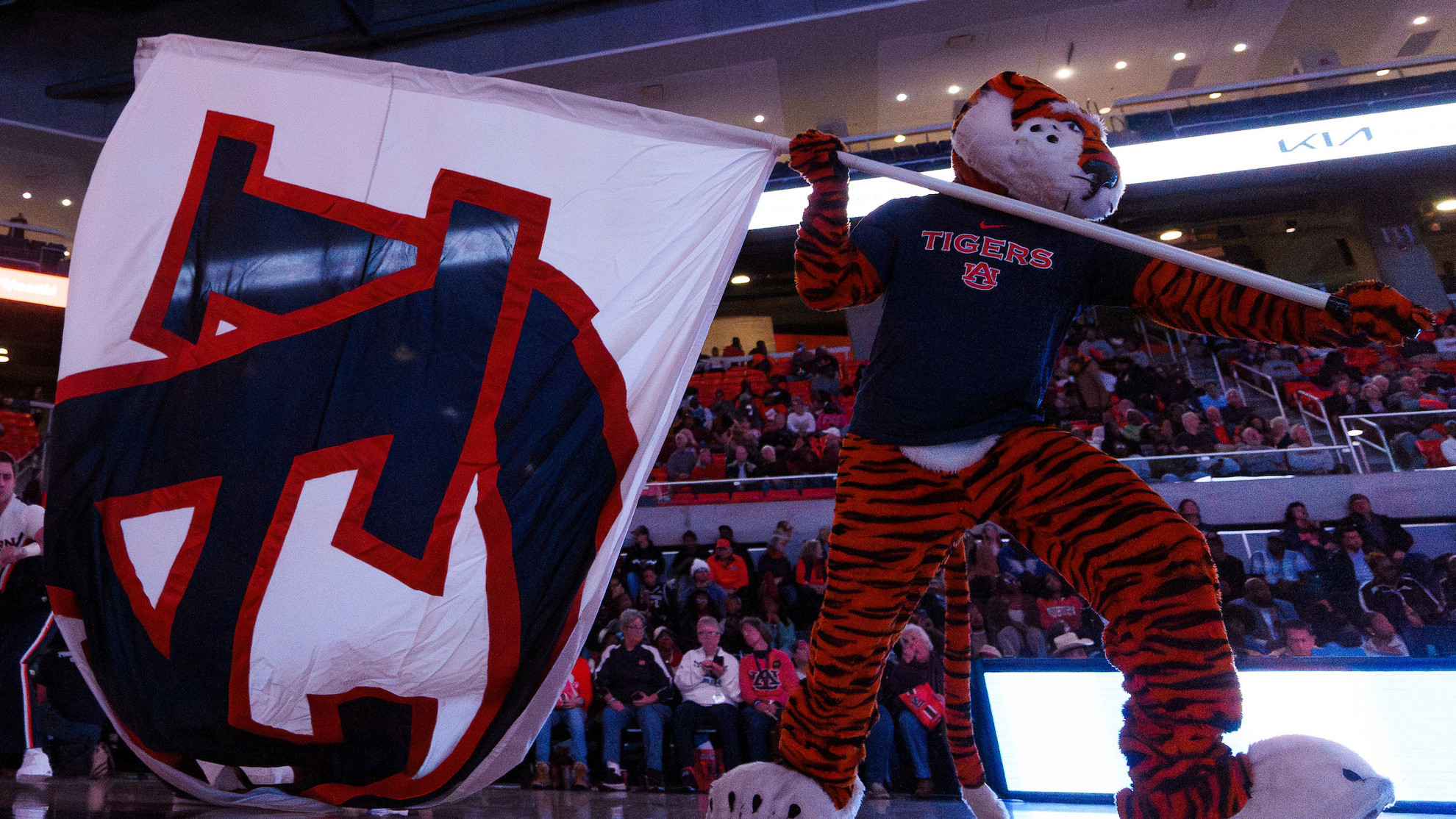 Auburn Women's Basketball news