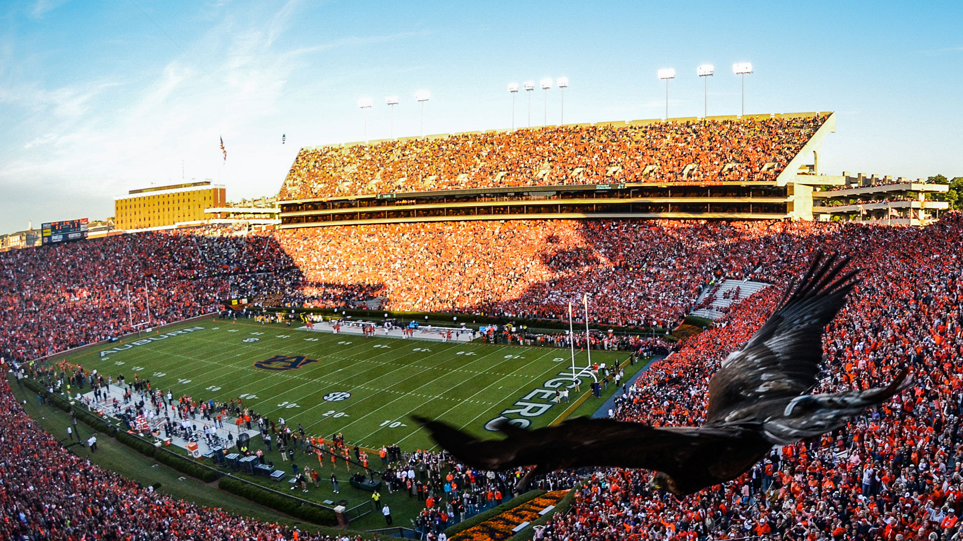 Pat Dye Field at Jordan–Hare Stadium