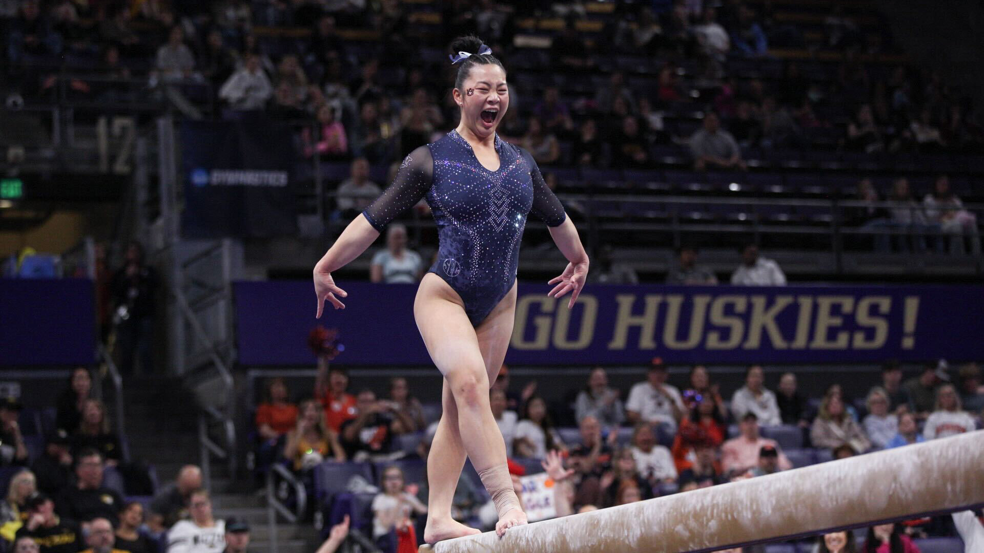 Placeholder for Auburn photo feature