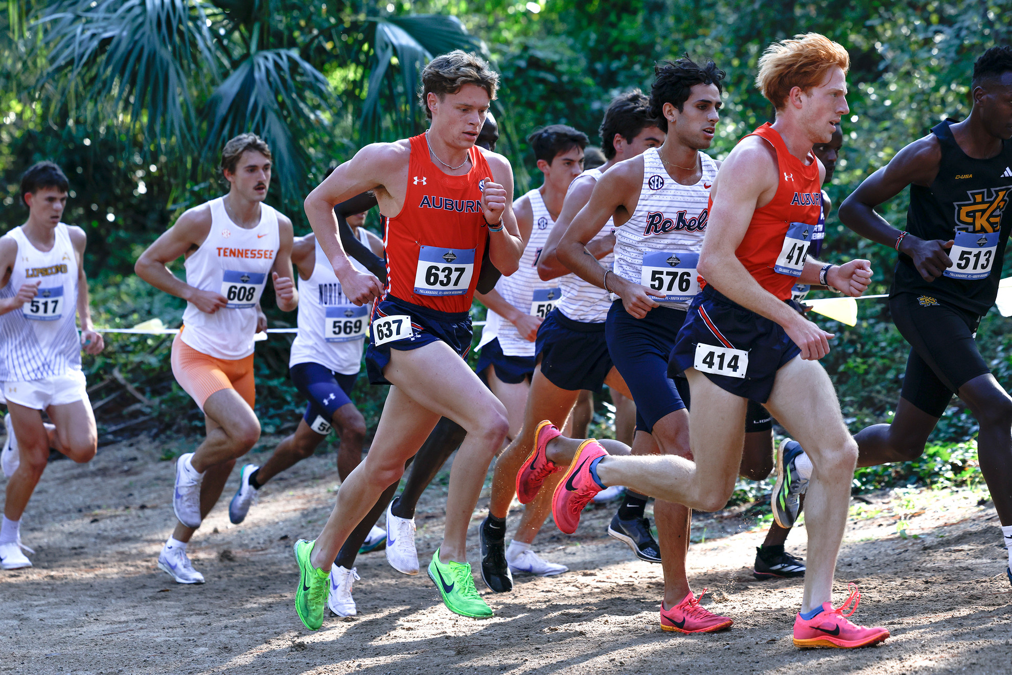 Auburn Cross Country Shines at NCAA South Regional with Multiple Top Finishes