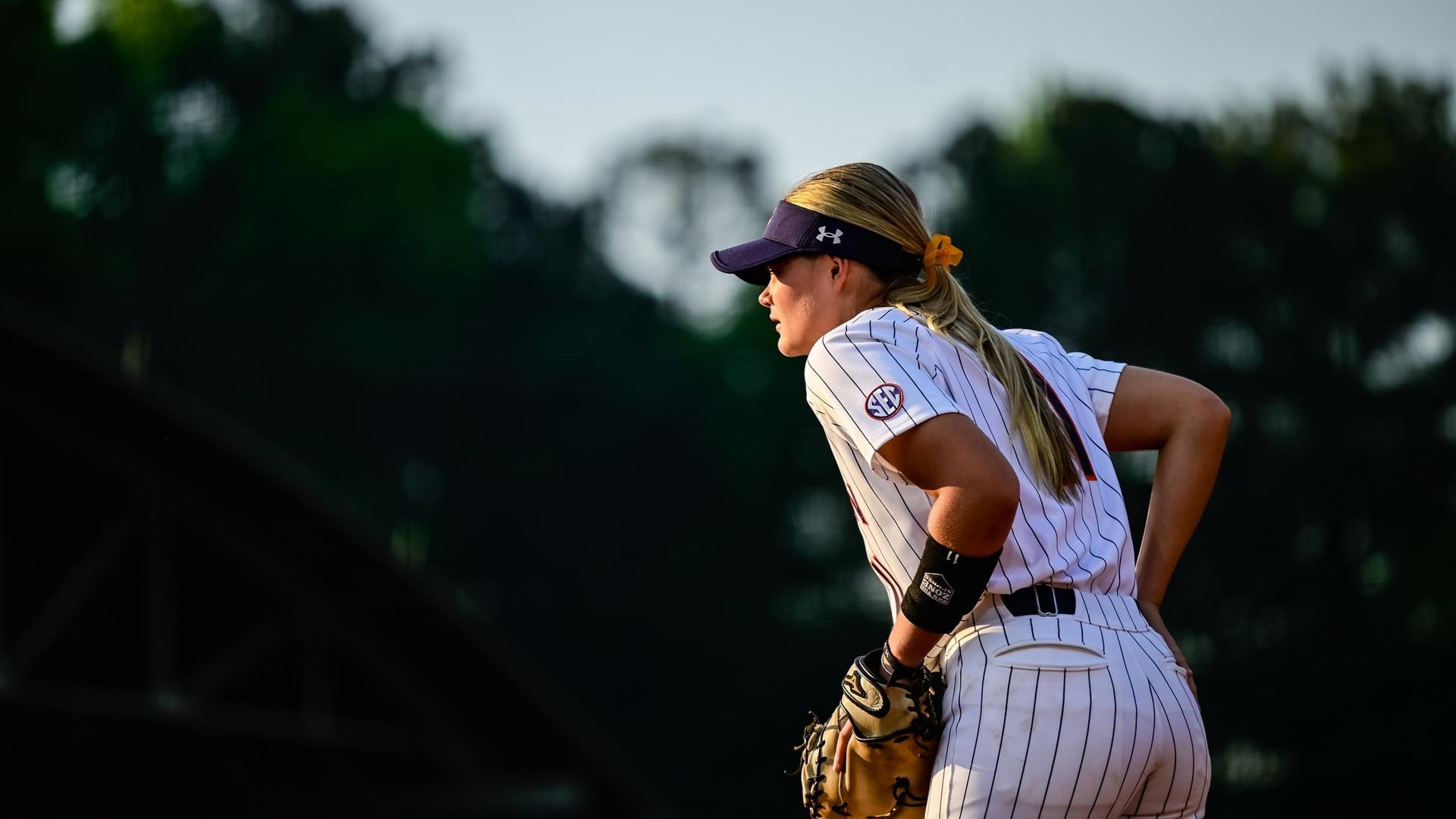 Softball 2022 - Auburn Tigers - Official Athletics Website