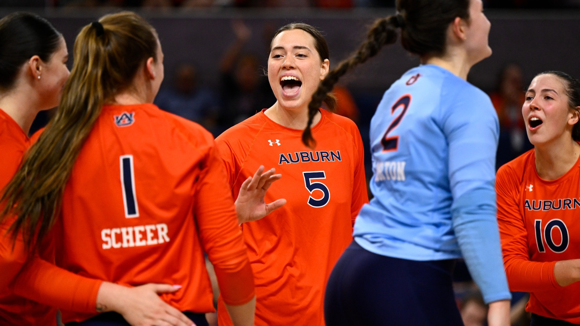 Stern road test awaits No. 24 Auburn Volleyball at No. 14 Arkansas ...