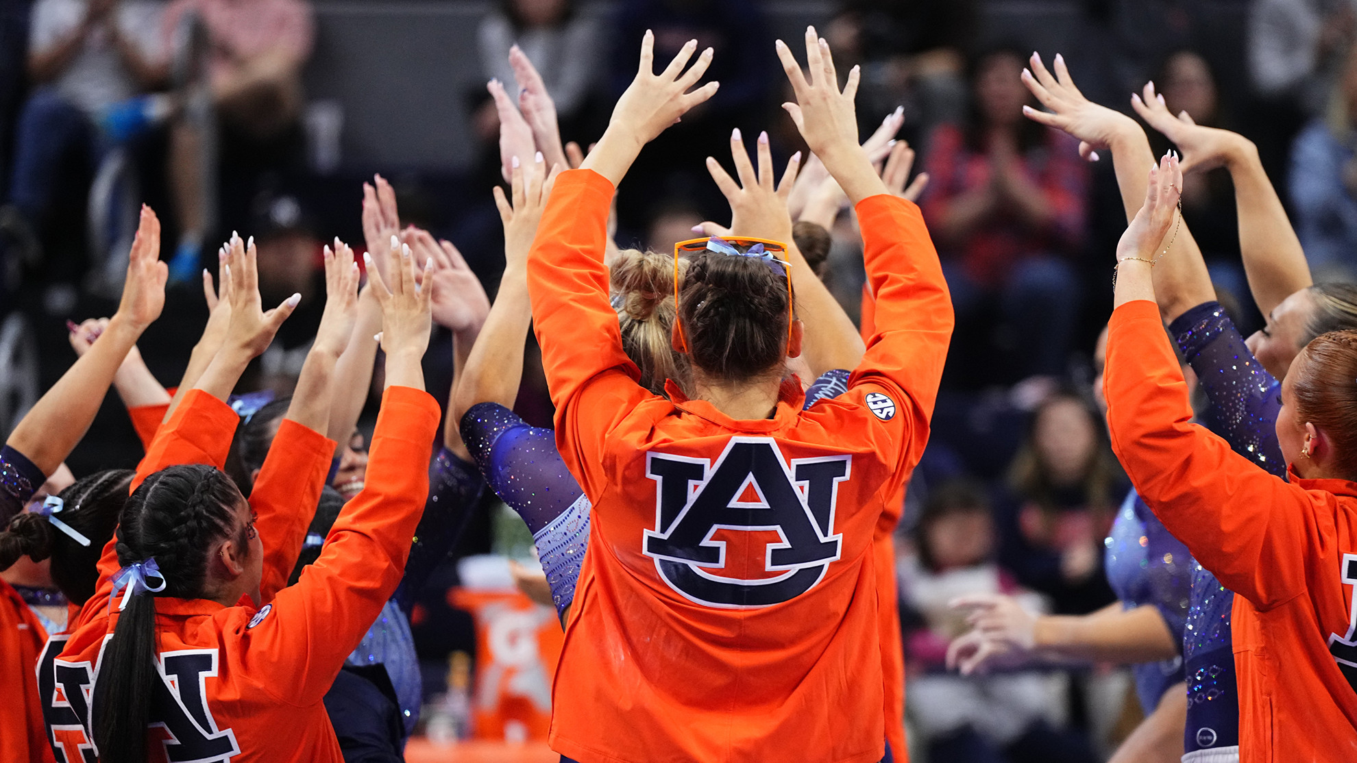 No. 12 Auburn shines on floor in home loss to Kentucky