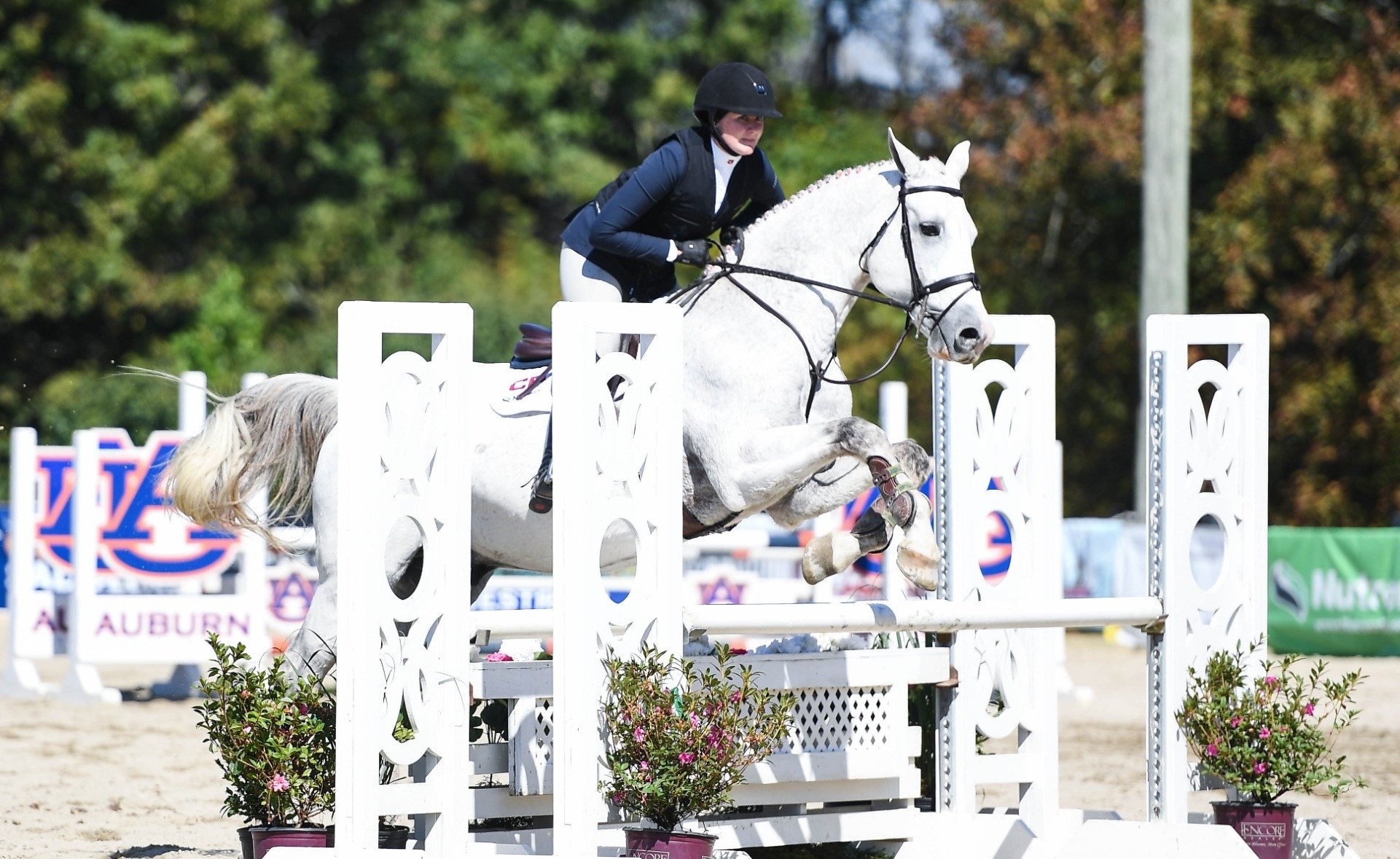 Equestrian 2022-23 - Auburn Tigers - Official Athletics Website