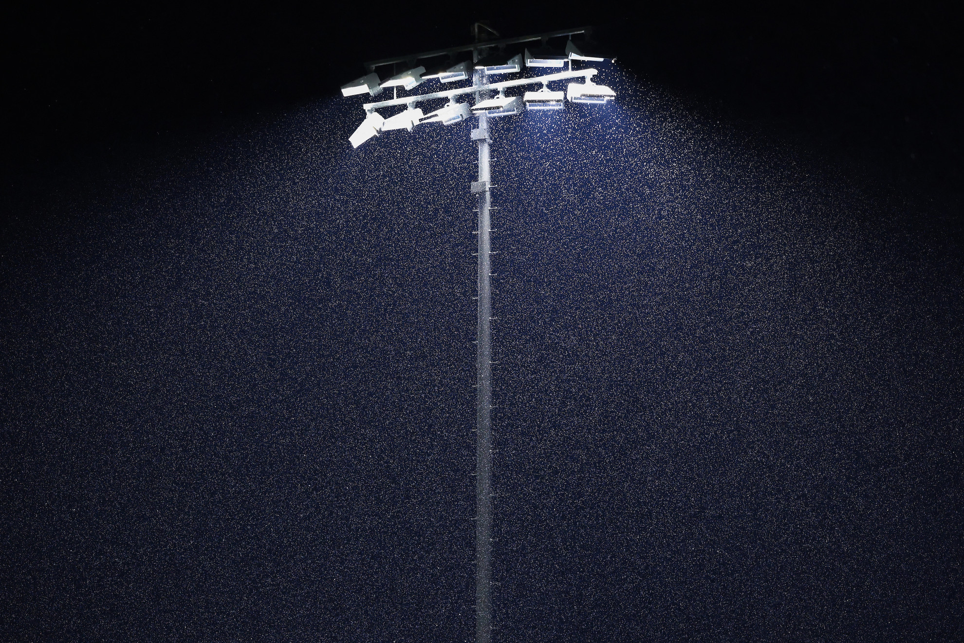 Auburn Baseball news