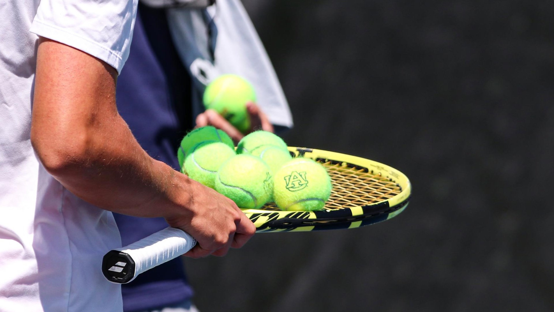 Men's Tennis Releases Fall Schedule - Auburn Tigers - Official ...