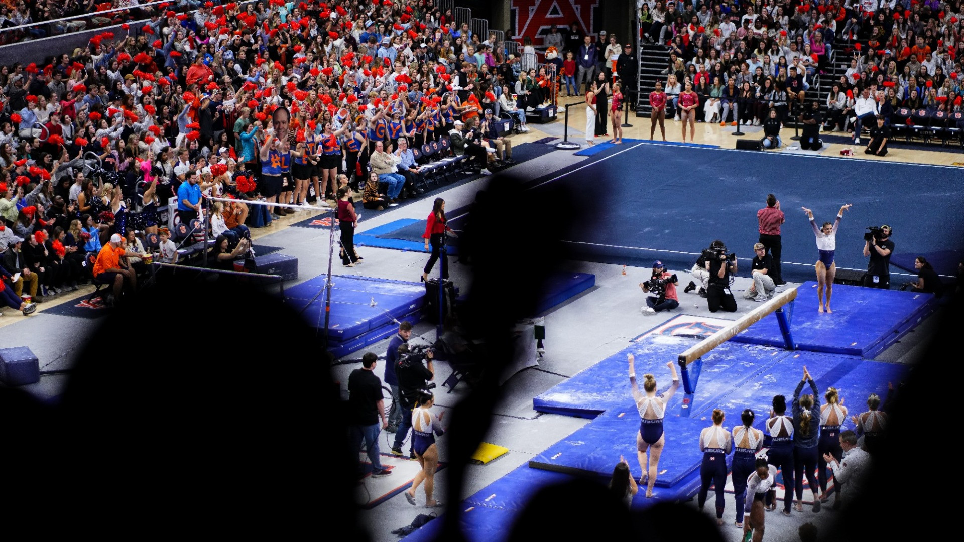 Gymnastics Rankings: Week 8 - Auburn Tigers - Official Athletics Website