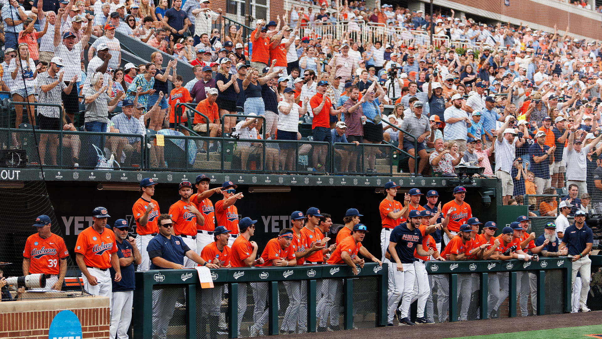 Auburn Baseball news