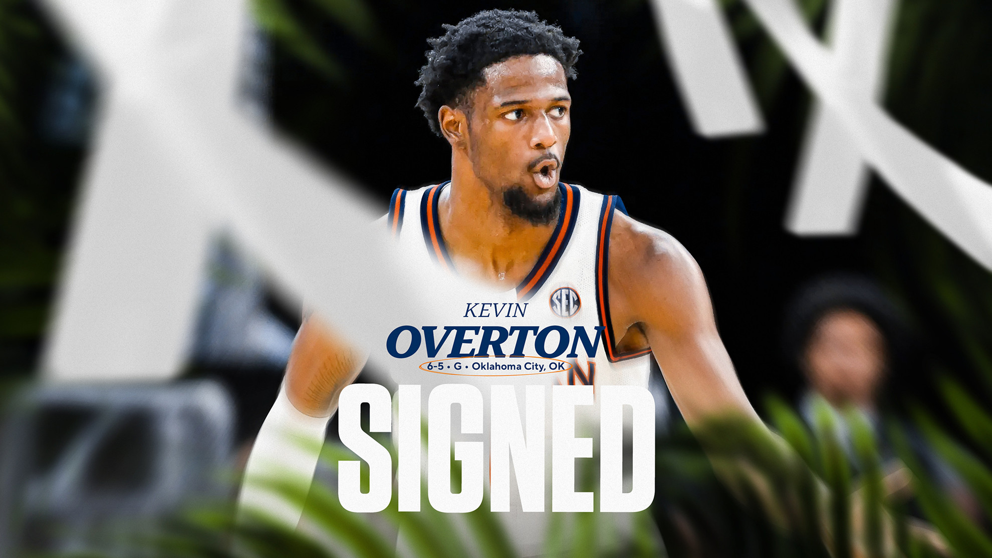 auburntigers.com